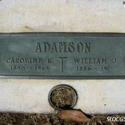 William J Adamson 