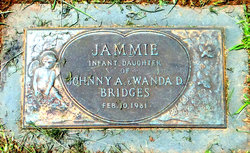Jammie Bridges 