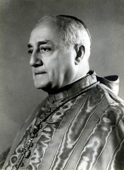 Cardinal Benedetto Aloisi Masella 