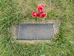 Lloyd B Aamold Jr.