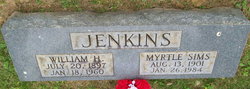 William Herbert Jenkins 