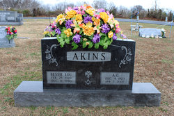 Bessie Lou <I>Graves</I> Akins 