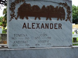 John Alexander 