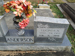 Lucinda N Anderson 