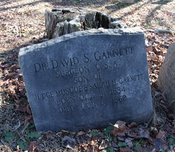 Dr David S. Garnett 