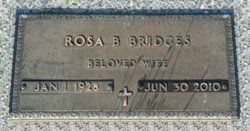 Rosa <I>Burman</I> Bridges 