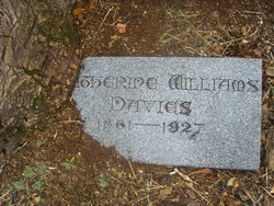 Catherine <I>Williams</I> Davies 