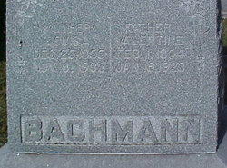 Louisa <I>Schaub</I> Bachmann 