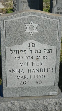 Anna Handler 