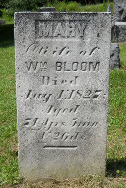 Mary Ann <I>Mettler</I> Bloom 