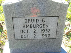 David G. Amburgey 