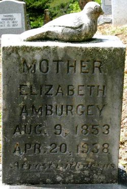 Elizabeth <I>Amburgey</I> Amburgey 