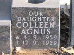 Colleen Agnus 
