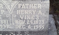 Henry Ashford Vines 