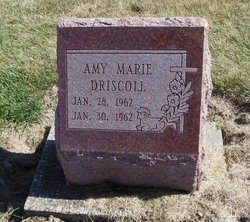 Amy Marie Driscoll 