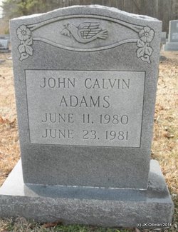 John Calvin Adams 