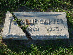 Callie Carter 