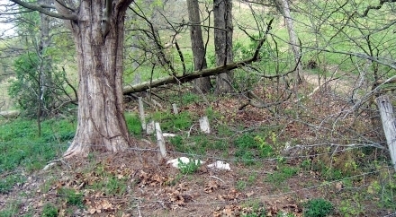 Irwin Cemetery