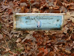 Mitchell Nathaniel Lee 
