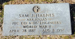 Sam J Haynes 
