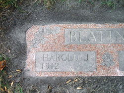 Harold J Blattner 