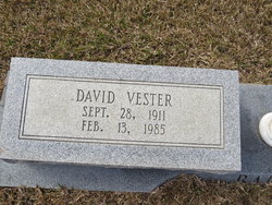 David Vester Barnes 