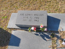 Joe Edwin Wilson 