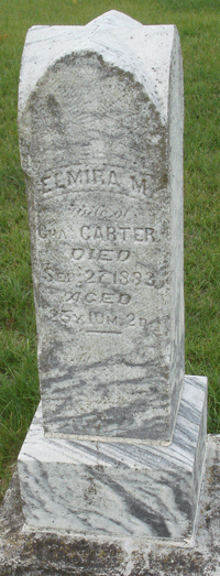 Elmira Mildred <I>Crisler</I> Carter 
