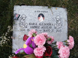 Maria Alejandra Ambriz Aguilar 