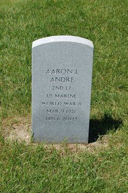 Aaron L Andre 