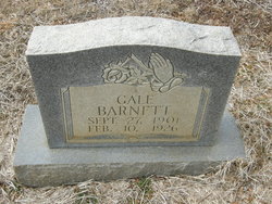 Gale Barnett 