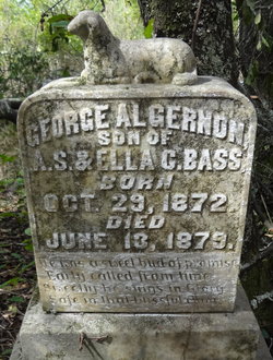 George Algernon Bass 