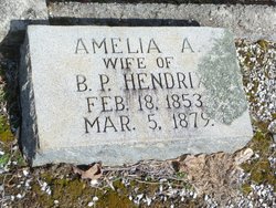 Amelia A Hendrix 
