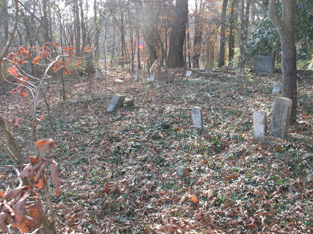 Cooper-Watson Cemetery