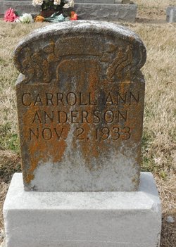 Carrol Ann Anderson 