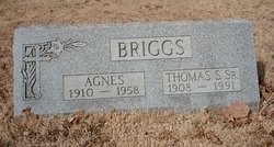 Agnes <I>Smith</I> Briggs 