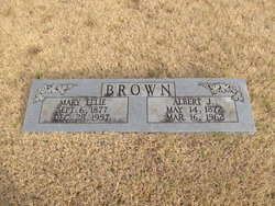 Albert Johnson Brown 