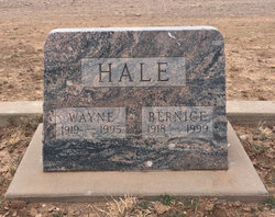 Wayne Hale 