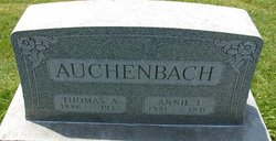 Annie Irene <I>North</I> Auchenbach 