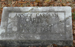 Annice Carolynn Carter 