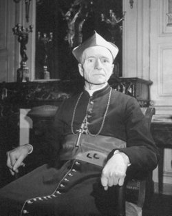Cardinal Pierre Petit de Julleville 