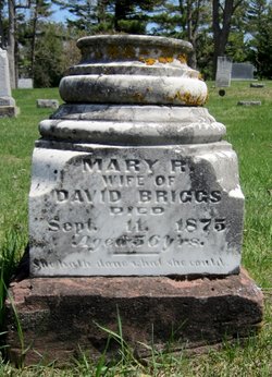 Mary R. <I>Pettibone</I> Briggs 