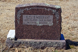 Elzie Bunyon Whisnant Sr.