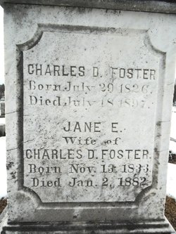 Jane Elizabeth <I>Burgess</I> Foster 