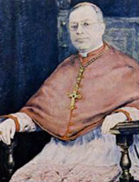 Cardinal Luis Concha Córdoba 
