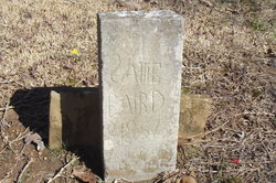 Sarah Ann “Sallie” <I>Phillips</I> Baird 