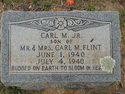 Carl M Flint Jr.
