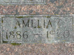 Amelia Teresia <I>Anderson</I> Kidder 