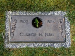 Clarice N. Burr 