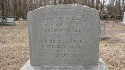 Annie B <I>Miller</I> Moxley 